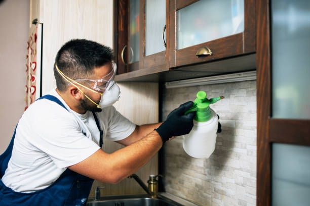 Best Bed Bug Extermination  in Howe, TX