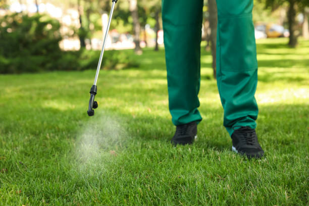 Best Cockroach Control Services  in Howe, TX