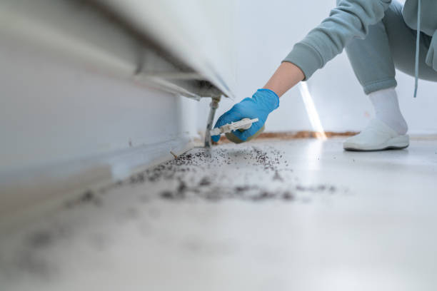Best Cockroach Control Services  in Howe, TX